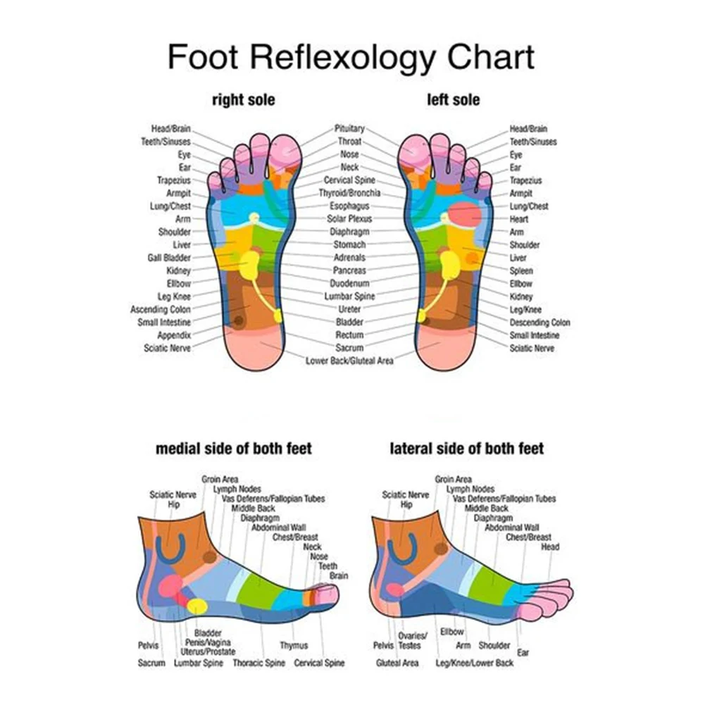 Winter Warm Self Heated Massage Socks Therapy Non-slip Therapy Massage Socks Comfortable Anti-Fatigue Arch Support for Men Women Winter Warm Self Heated Massage Socks Therapy Non-slip Therapy Massage Socks Comfortable Anti-Fatigue Arch Support for Men Women